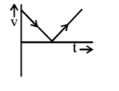 Kinematics mcq option image